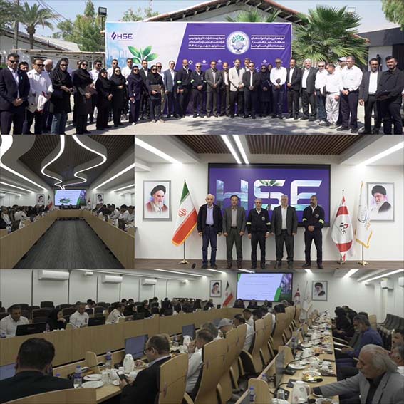 مشارکت شرکتها در طرح کاشت حرا دو برابر میشود