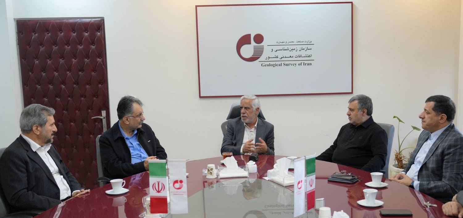 دیدار نمایندگان مجلس شورای اسلامی با معاون وزیر صمت و رئیس سازمان زمینشناسی و اکتشافات معدنی