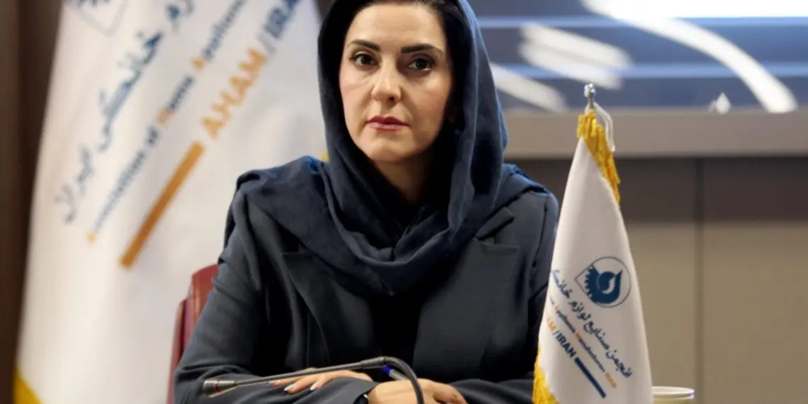 فشار هزینهها بر صنعت لوازم خانگی؛ تولید با حداقل سود ادامه دارد